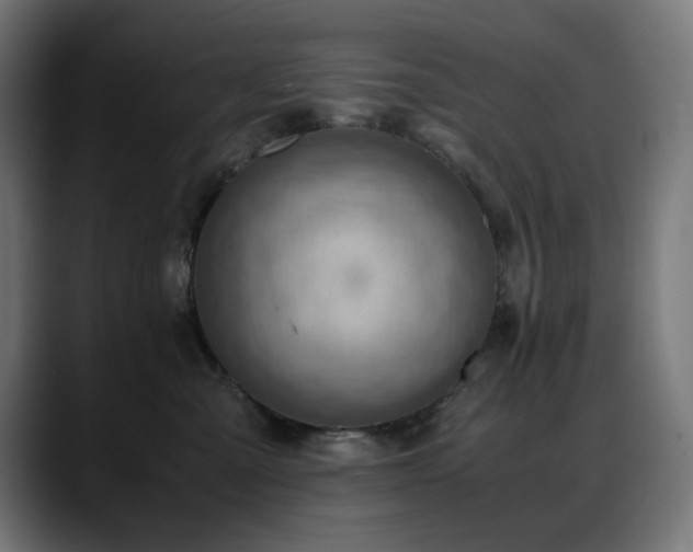 X0000088580427200705251142