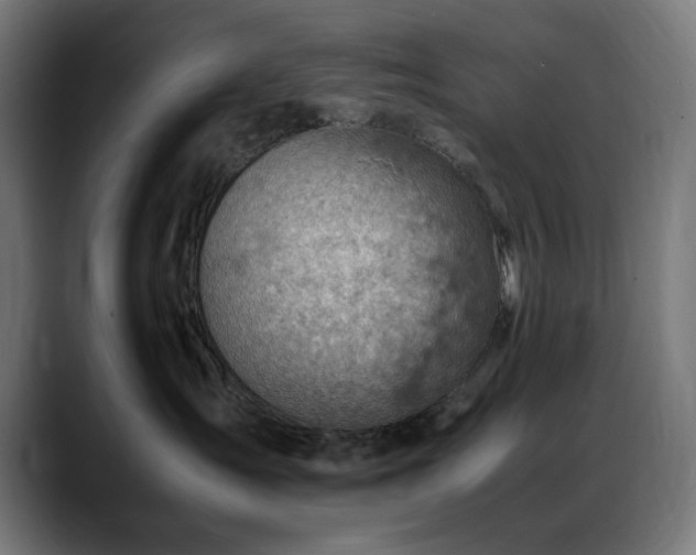 X0000088580431200705251141