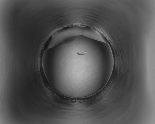 X0000088580434200705251141