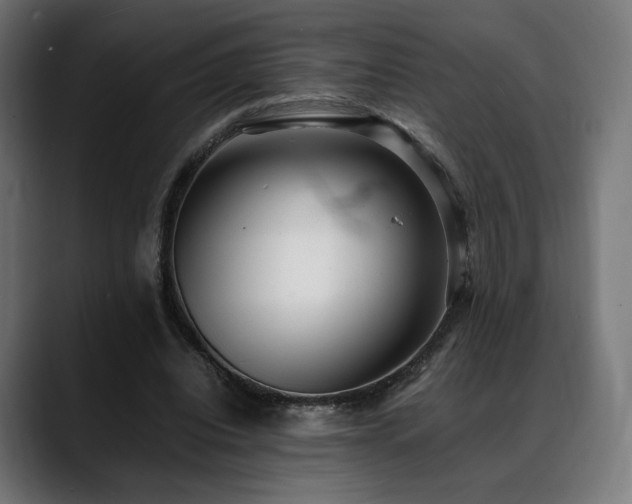 X0000088580440200705251141