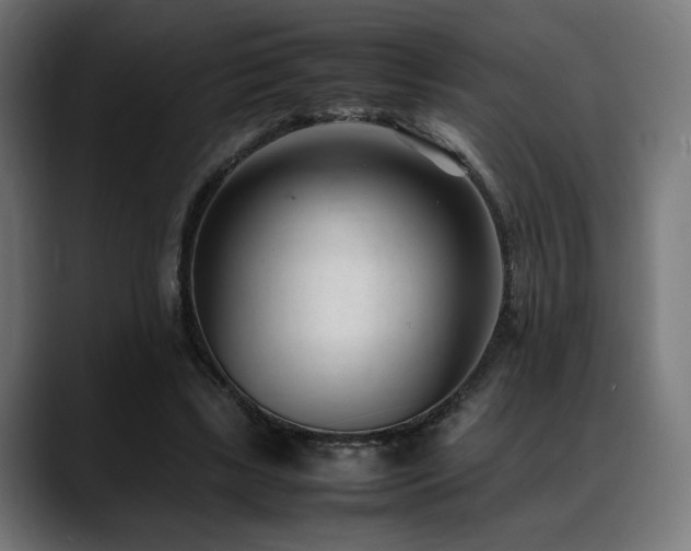 X0000088580443200705251141