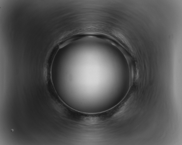 X0000088580444200705251141