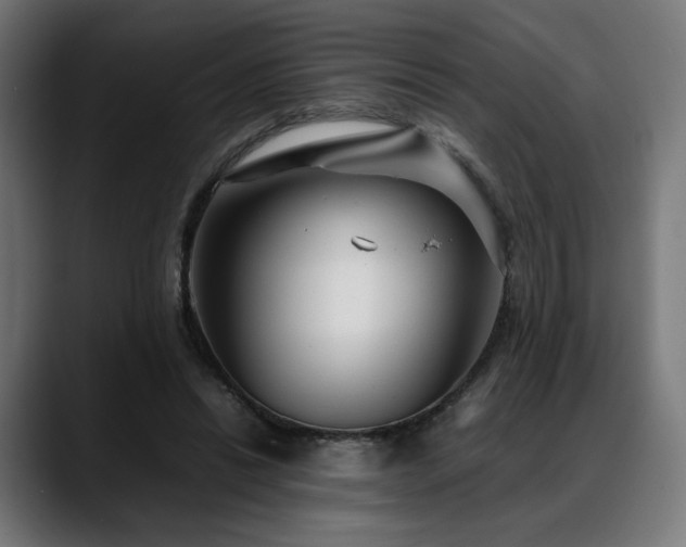 X0000088580446200705251141