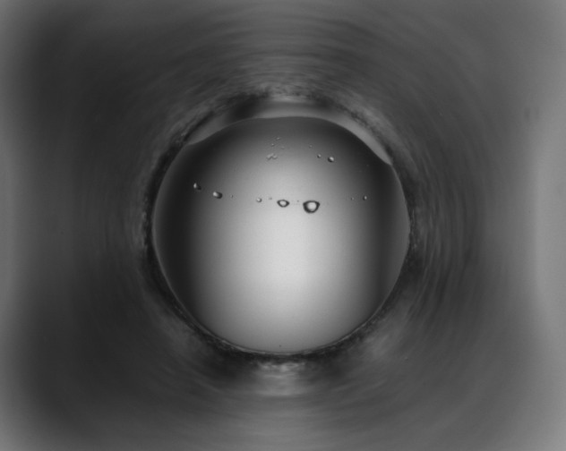 X0000088580450200705251141