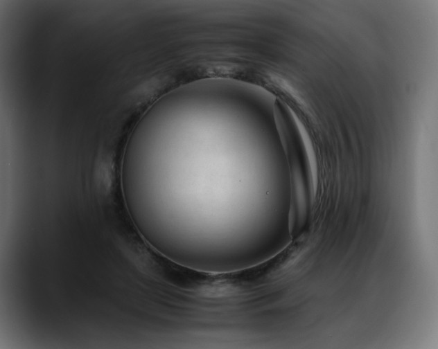 X0000088580451200705251141