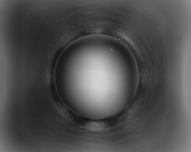 X0000088580455200705251141