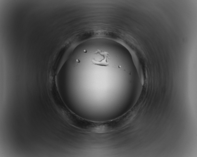 X0000088580456200705251141
