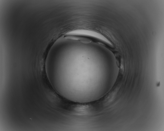 X0000088580458200705251141