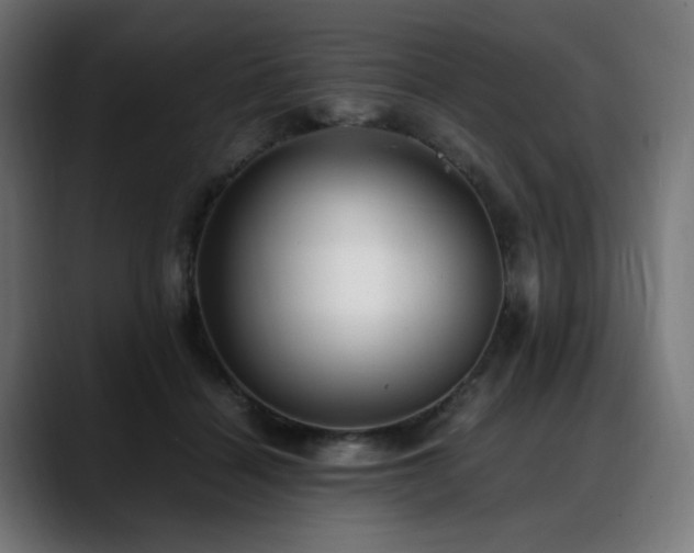 X0000088580460200705251141