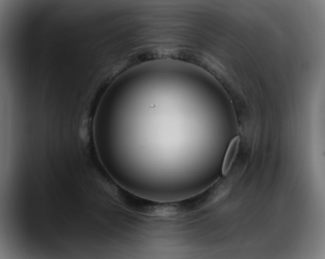 X0000088580462200705251141