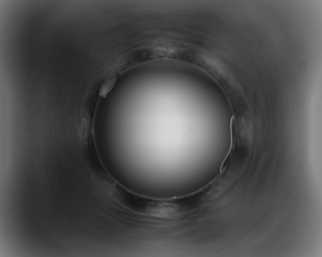 X0000088580463200705251141