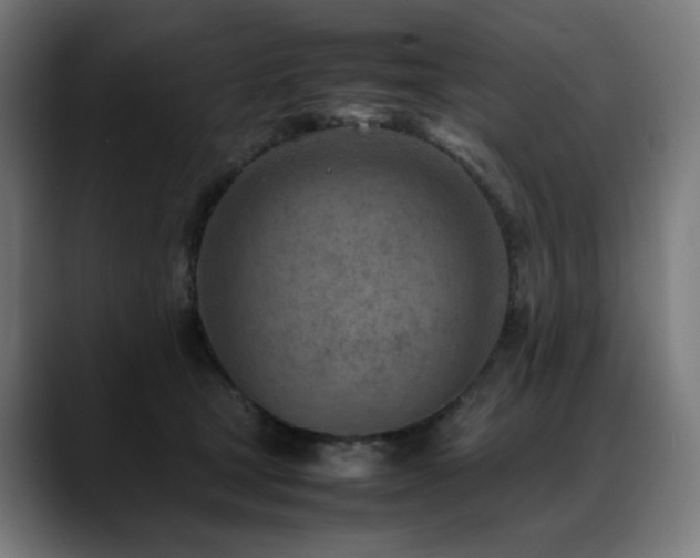 X0000088580465200705251141