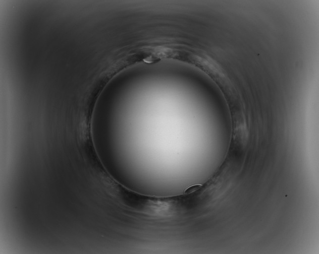 X0000088580469200705251141