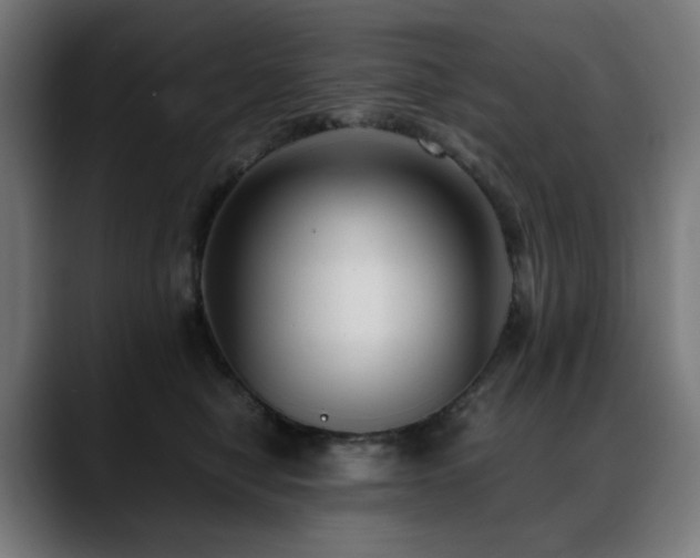 X0000088580470200705251141