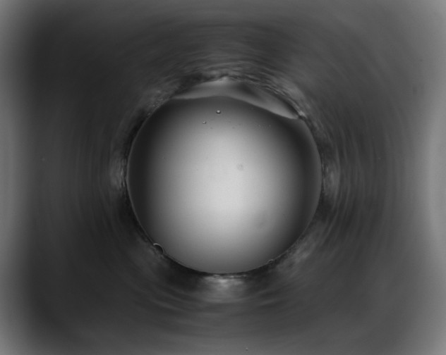 X0000088580477200705251141