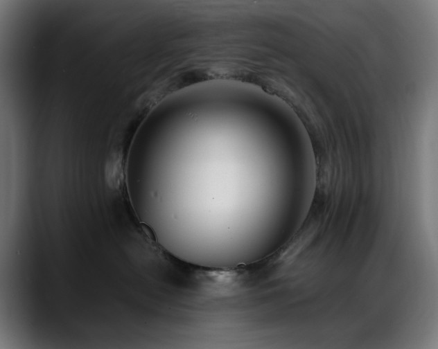 X0000088580478200705251141