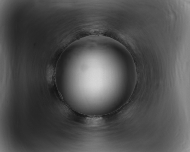 X0000088580480200705251141