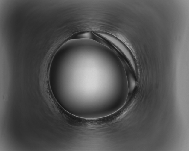 X0000088580481200705251141