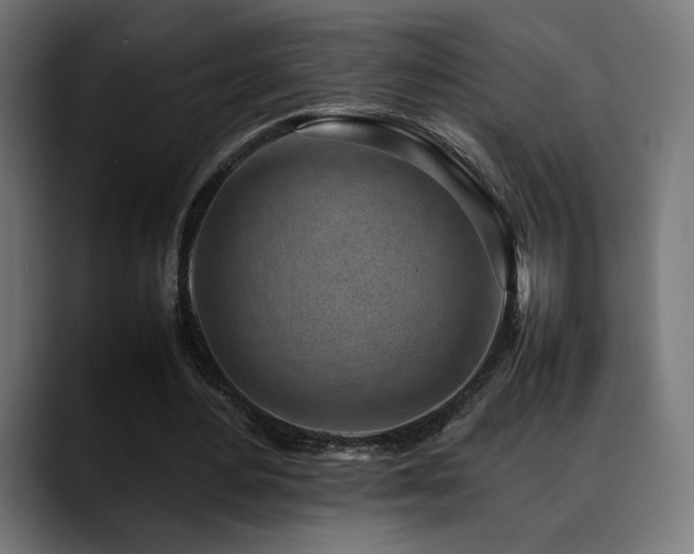X0000088580484200705251141
