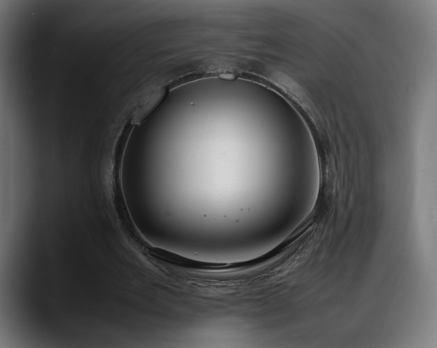 X0000088580485200705251141