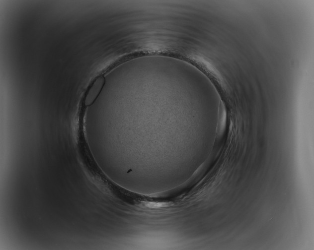 X0000088580488200705251141