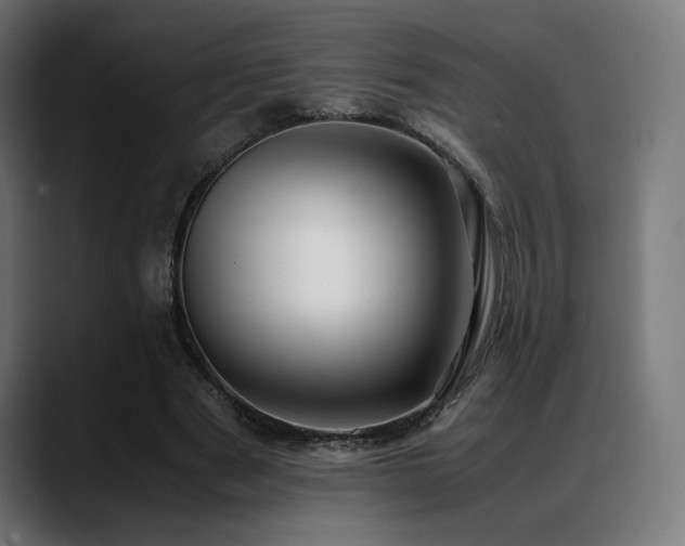 X0000088580489200705251141