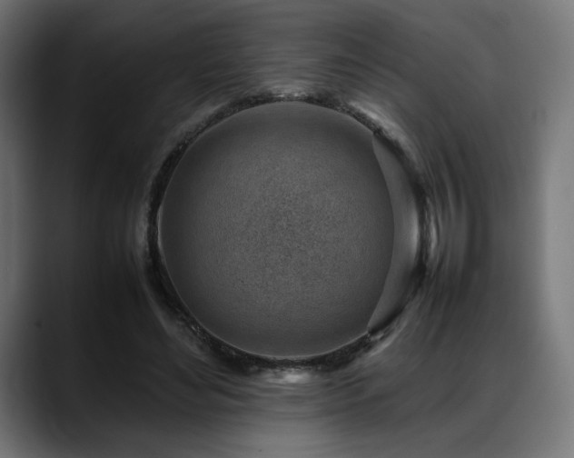 X0000088580492200705251141