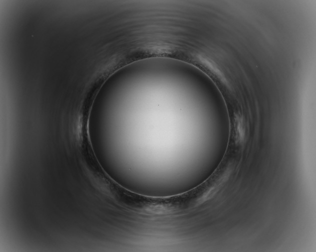 X0000088580494200705251141