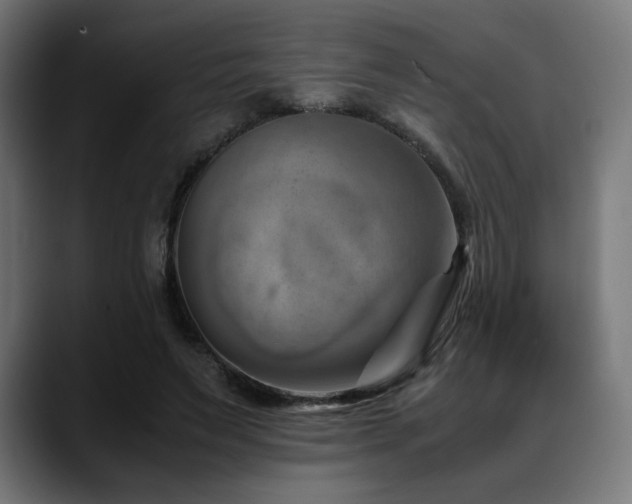 X0000088580495200705251141