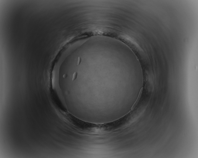 X0000088580496200705251141