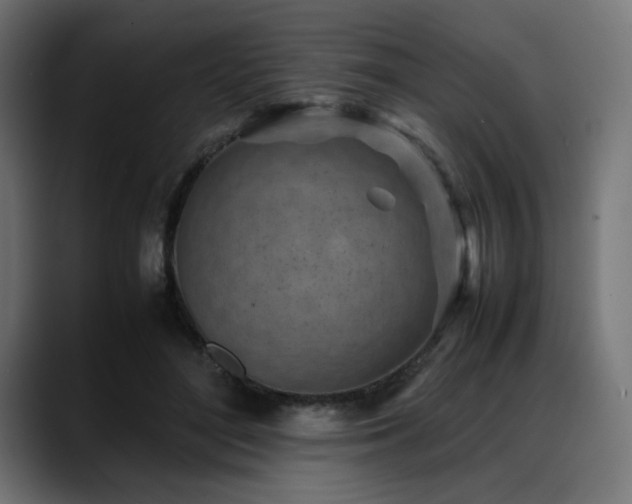 X0000088580500200705251141