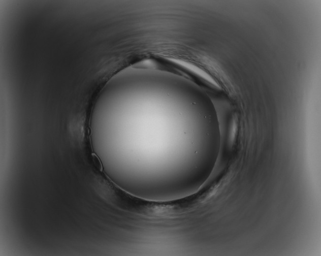 X0000088580501200705251141