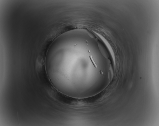 X0000088580503200705251141