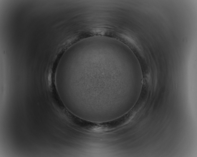 X0000088580504200705251141