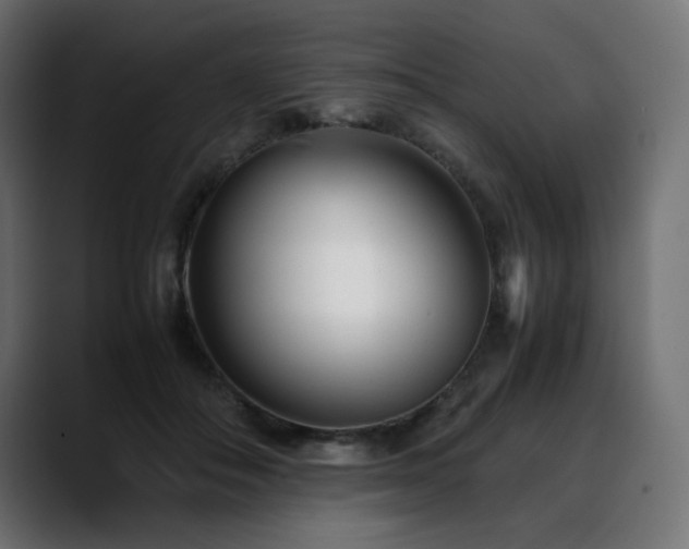 X0000088580506200705251140