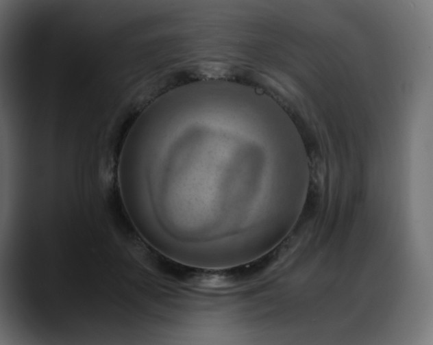 X0000088580507200705251140