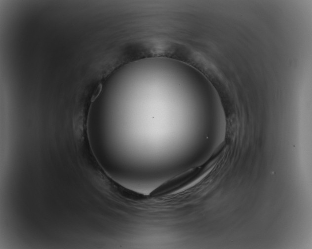X0000088580509200705251140