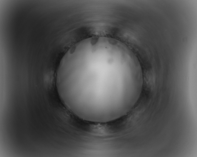 X0000088580511200705251140
