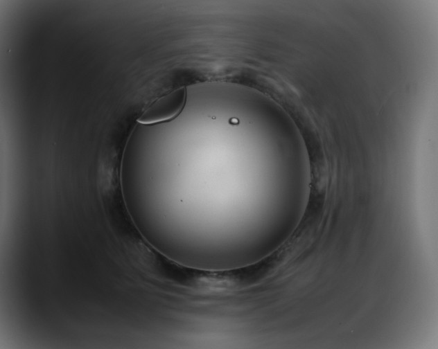 X0000088580515200705251140