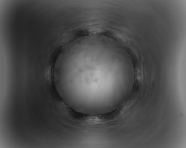 X0000088580519200705251140