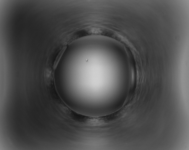 X0000088580521200705251140