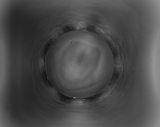 X0000088580523200705251140