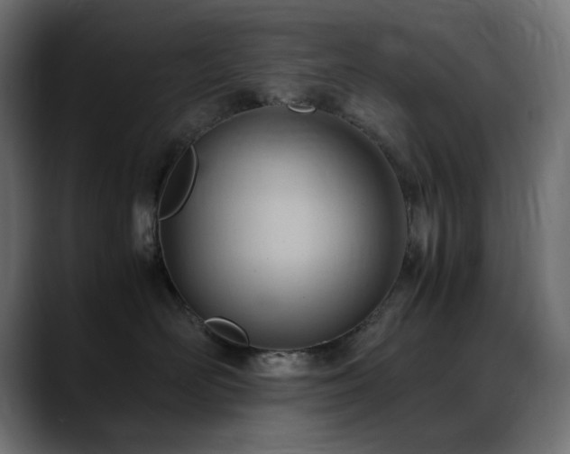 X0000088580526200705251140