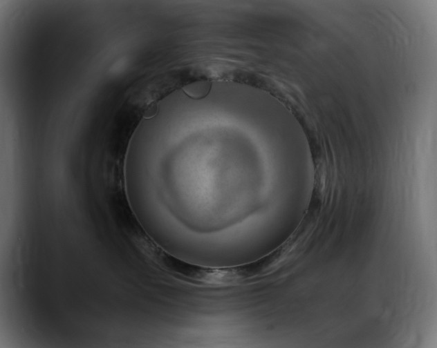 X0000088580527200705251140