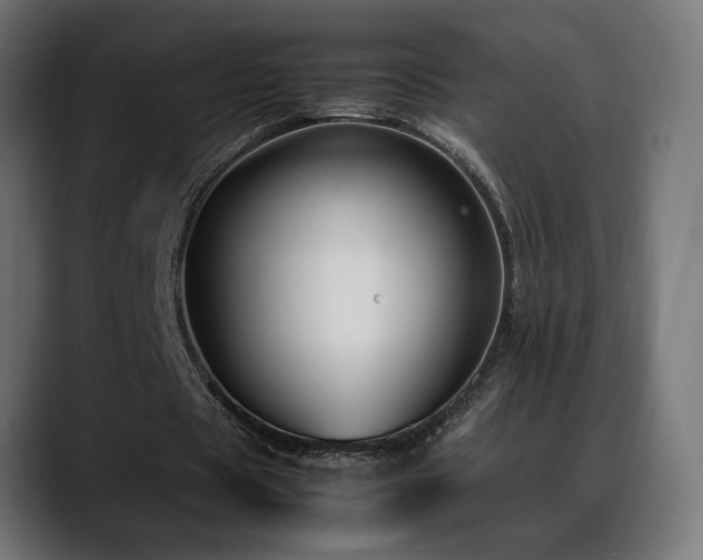 X0000088580529200705251140
