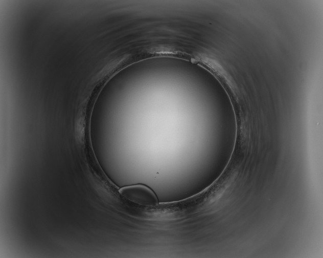 X0000088580533200705251140
