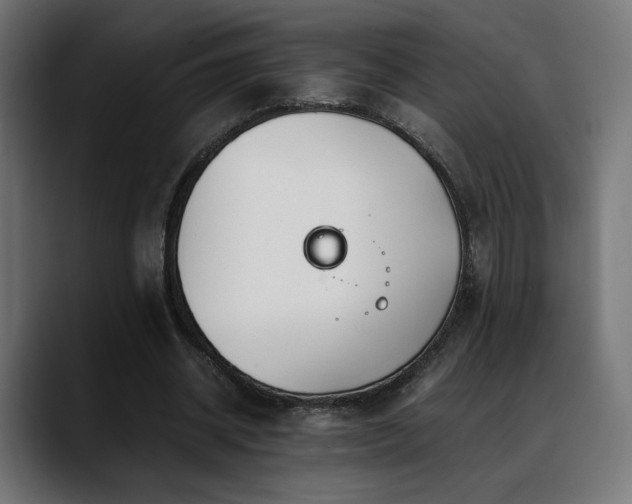X0000088580534200705251140