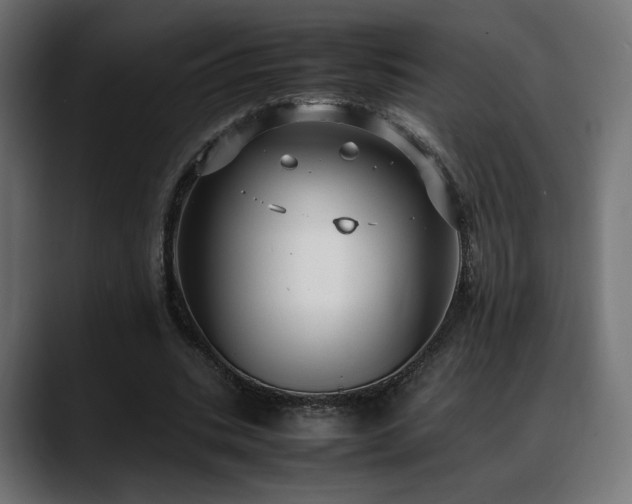 X0000088580535200705251140