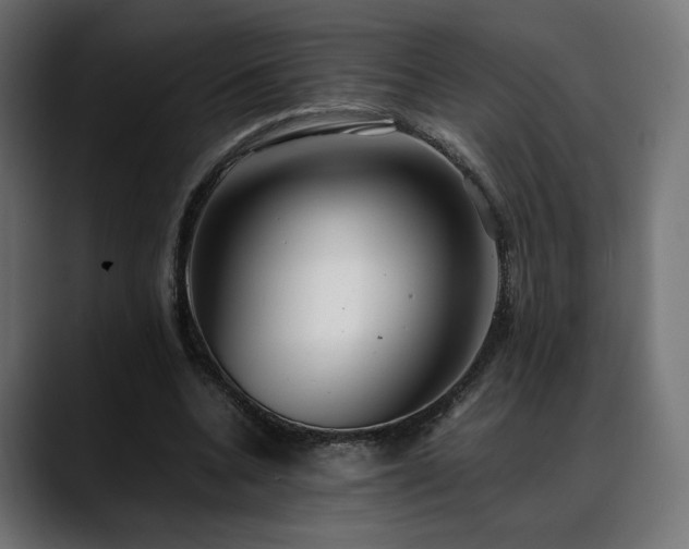 X0000088580536200705251140