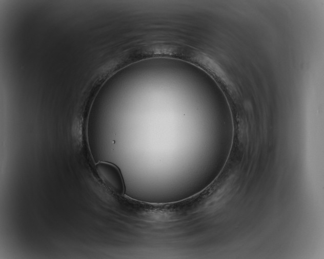 X0000088580537200705251140